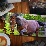 Jigsaw Puzzle Horses verzió